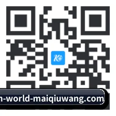 iOS 苹果版 二维码